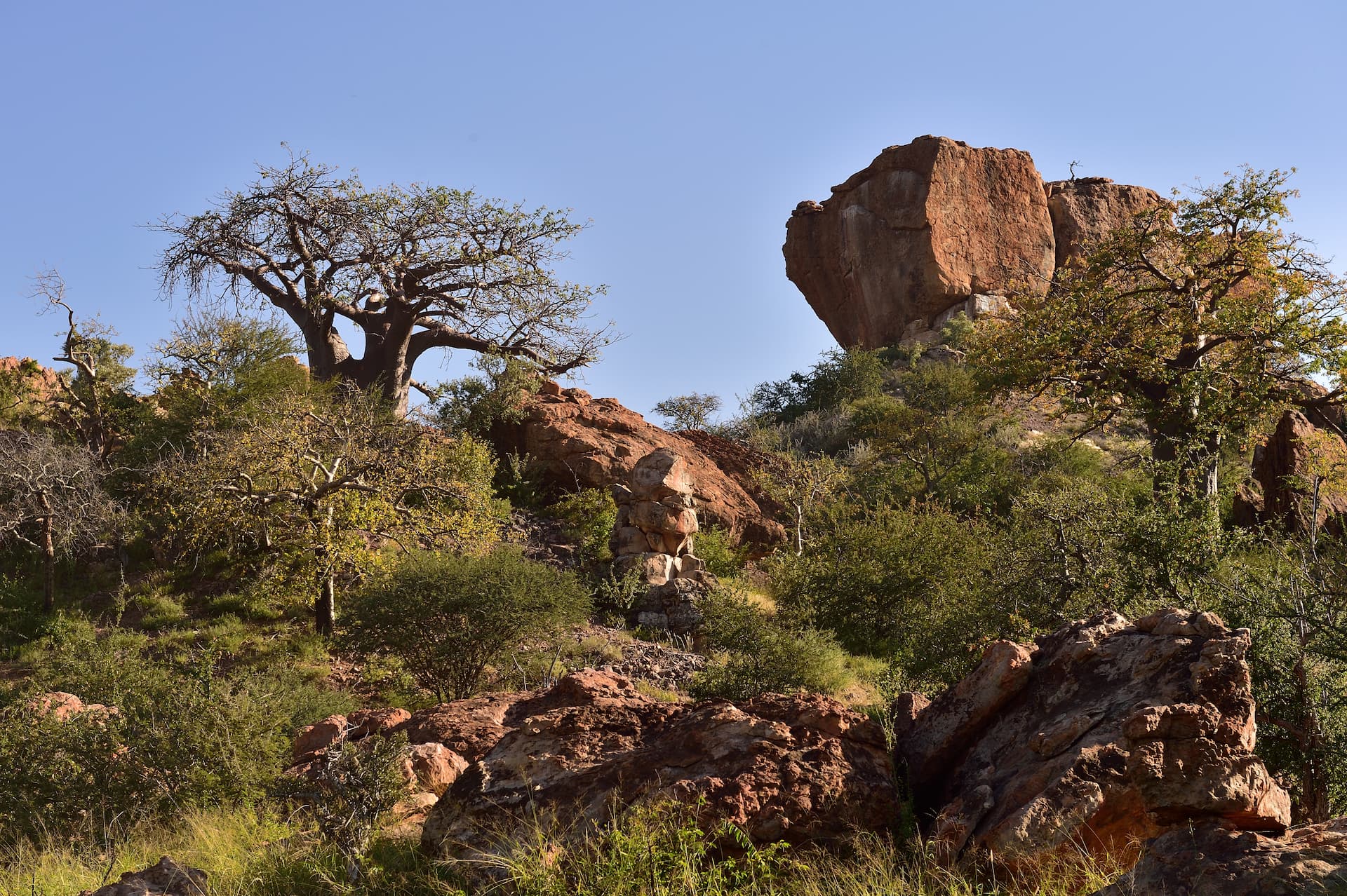 mapungubwe-national-park-1.jpg