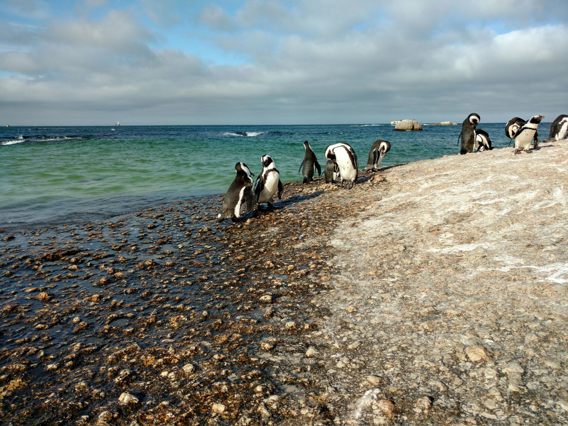 marine-conservation-tourism-south-africas-call-of-the-ocean-1.jpg