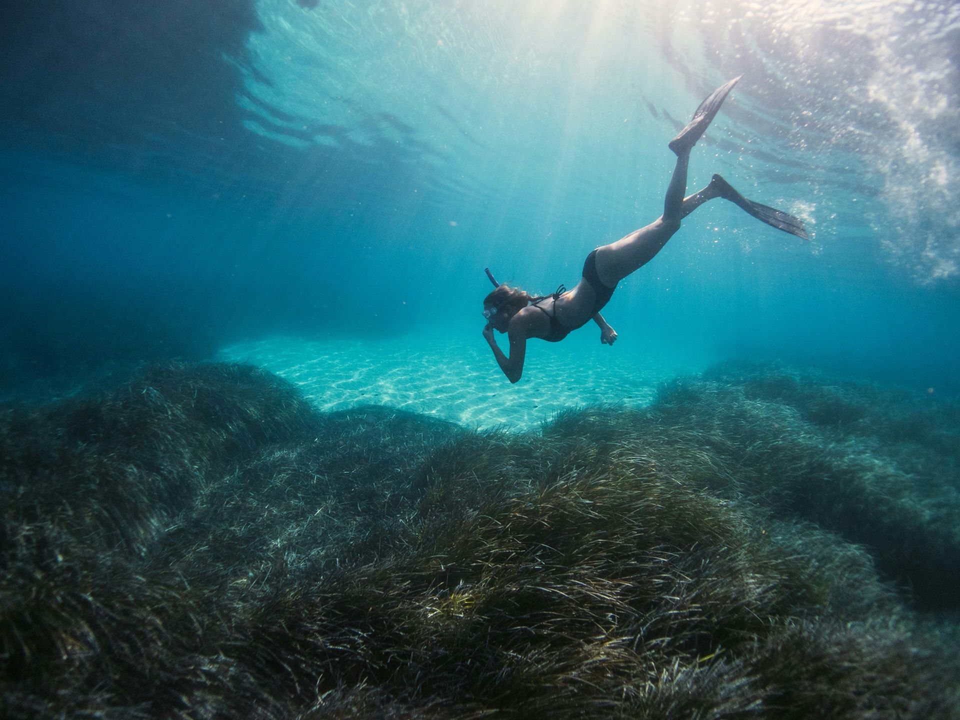 marine-magic-where-to-dive-surf-and-snorkel-along-south-africas-coasts.jpg