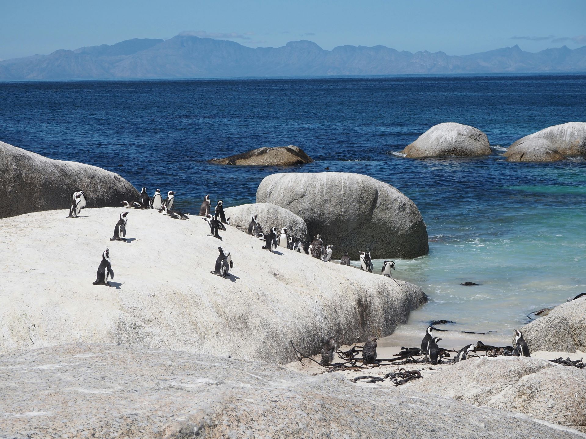 marine-protected-areas-and-tourism-in-south-africa-1