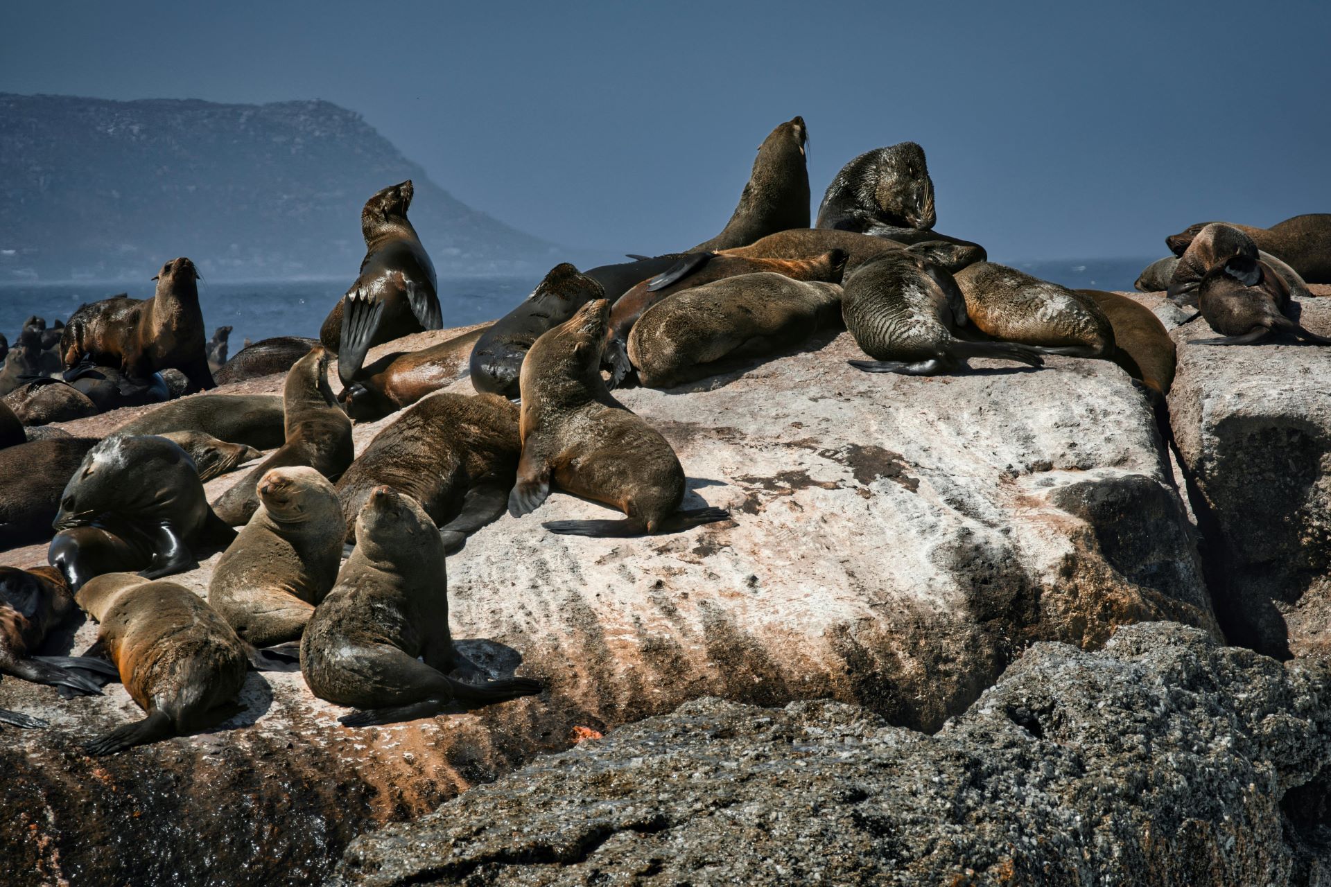 marine-protected-areas-and-tourism-in-south-africa-2