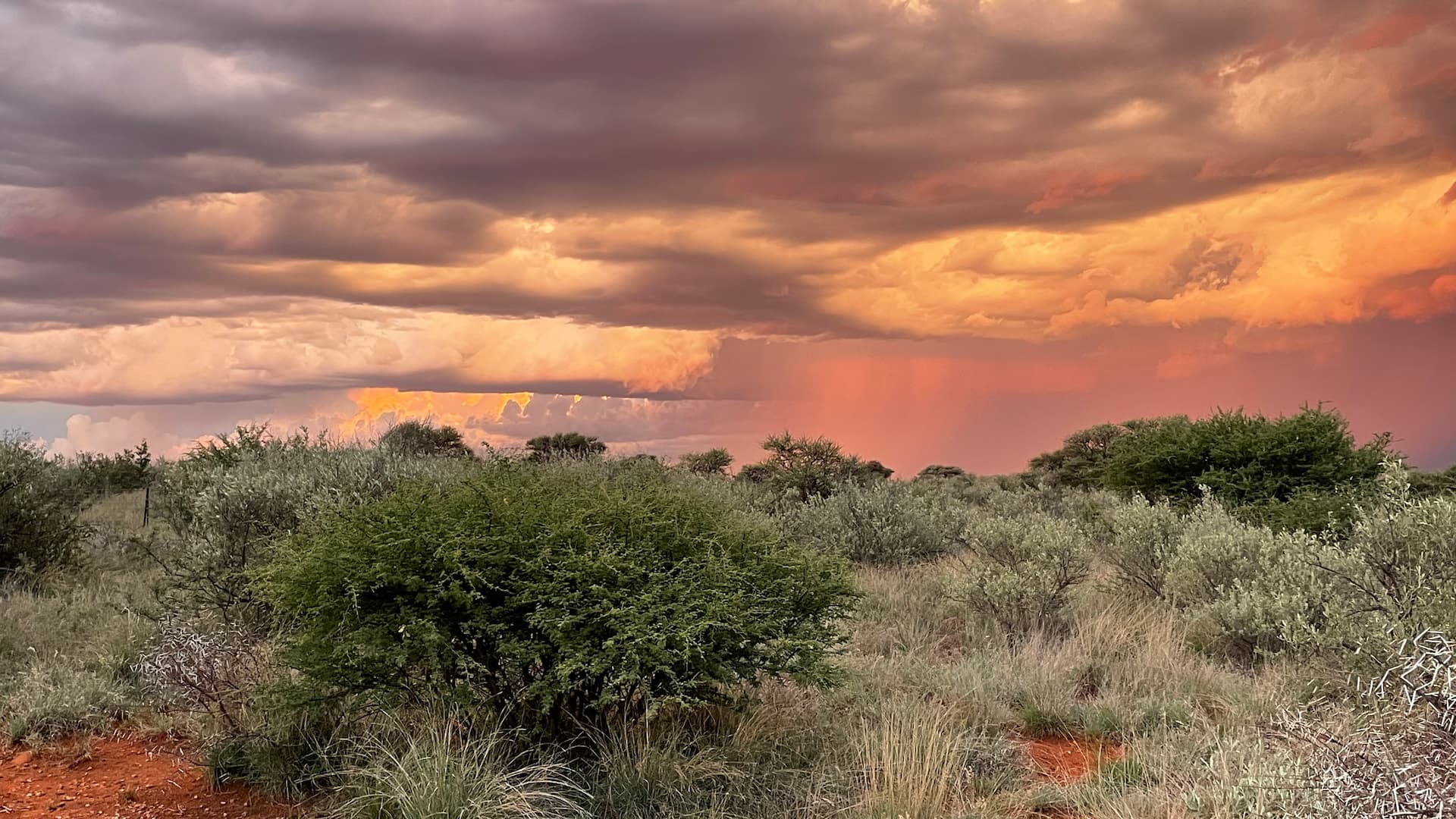 mokala-national-park-1.jpg