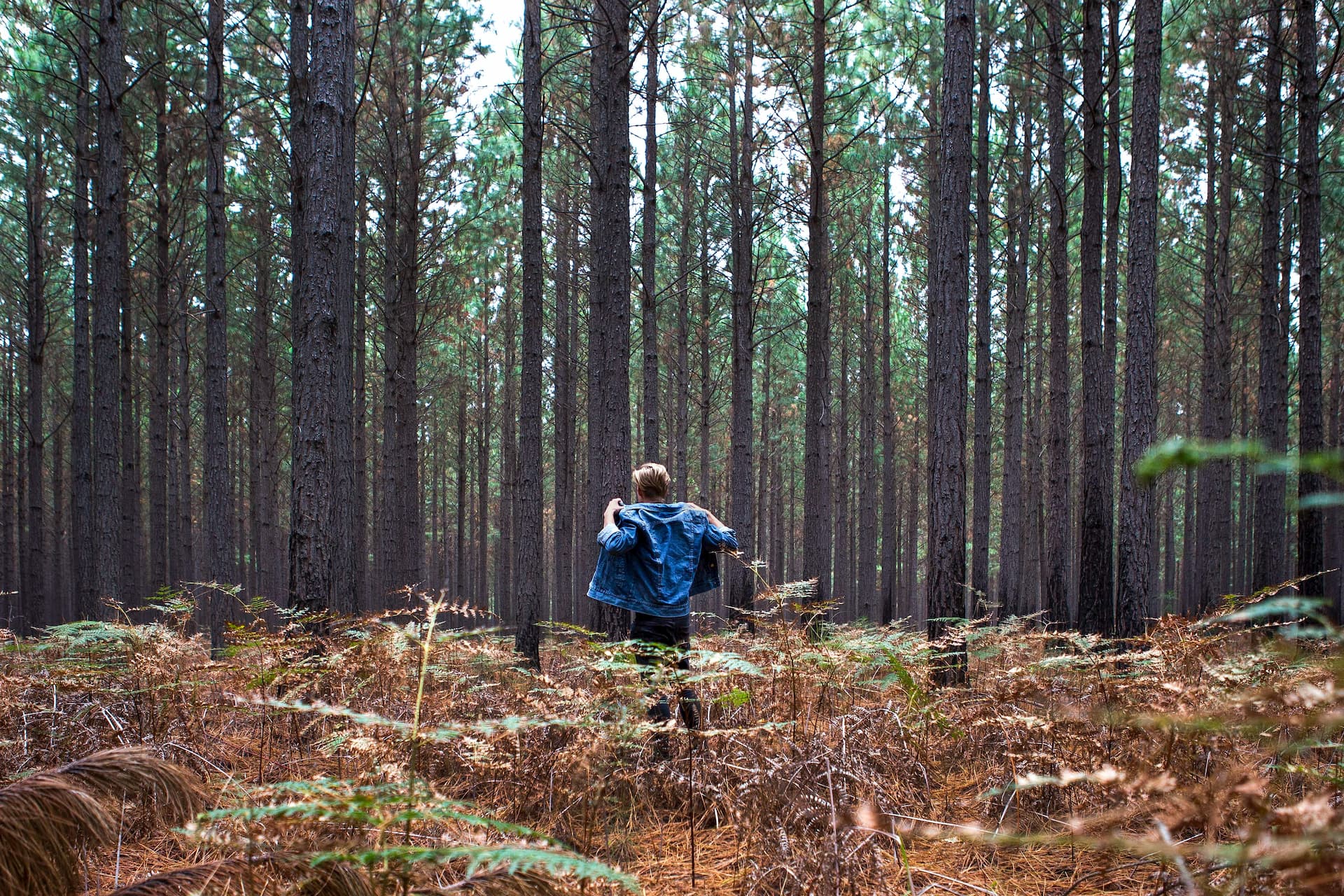 mpofu-nature-reserve-woodcutters-journey.jpg