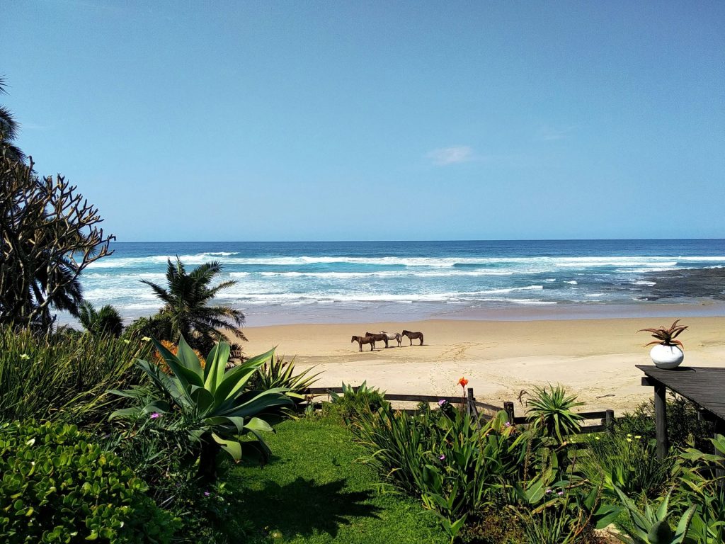 mtentu-beach-1-1024x768.jpg