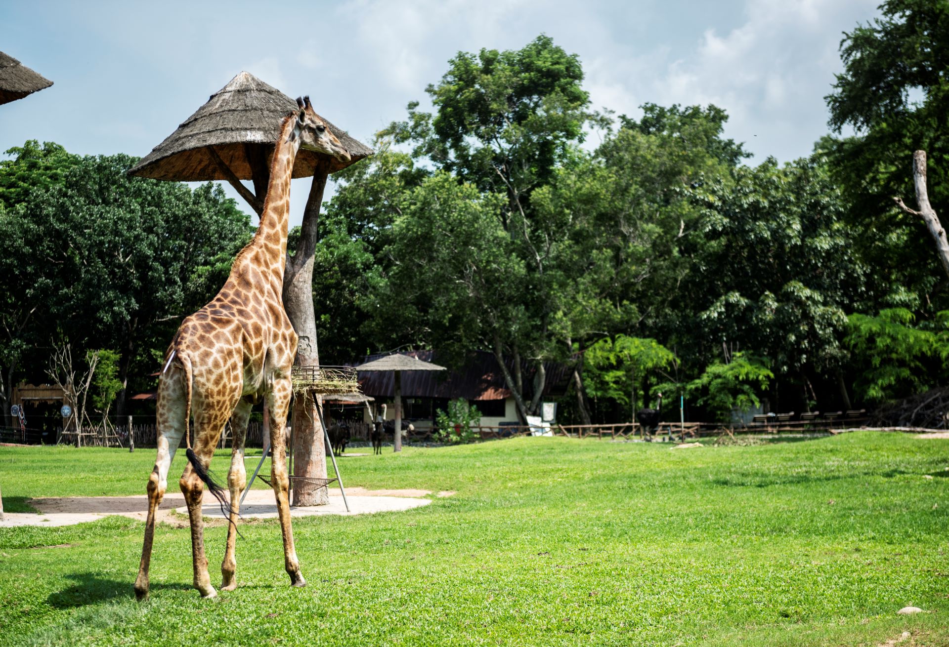 national-parks-as-living-classrooms-in-south-africa