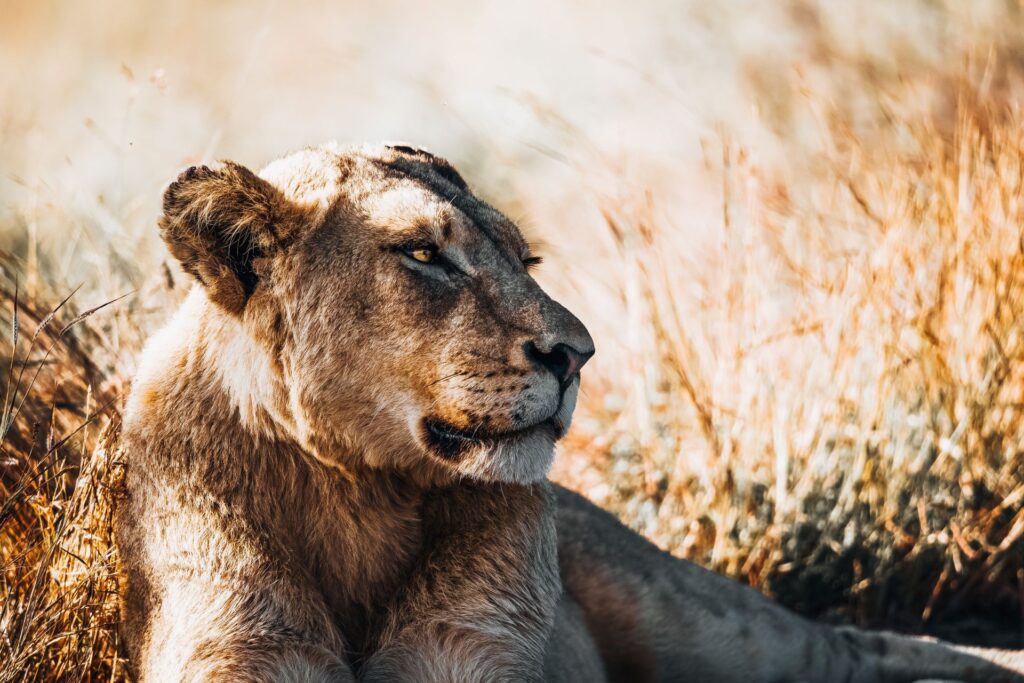 nature-reserves-in-gauteng-5-1024x683.jpg