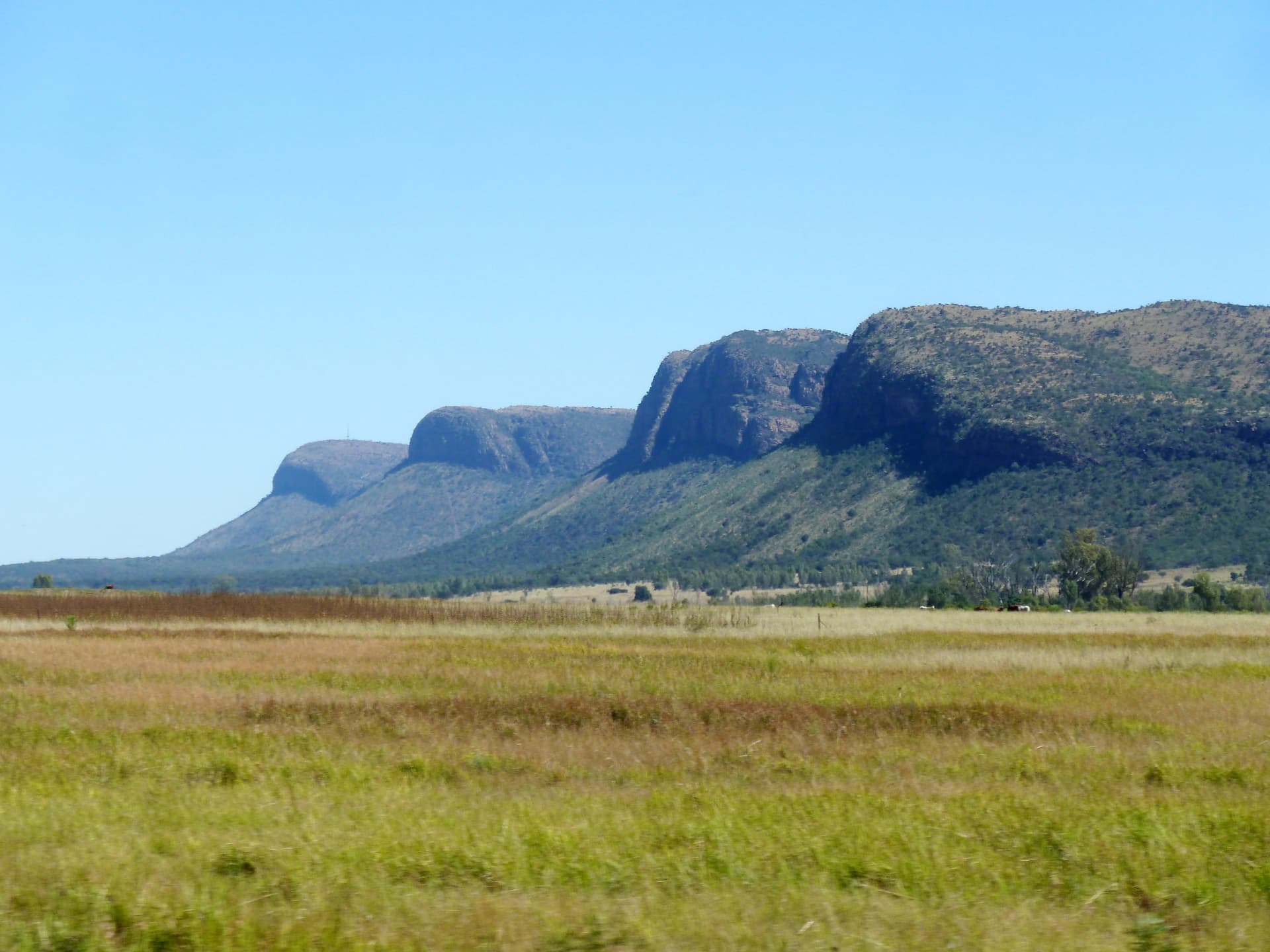 nylsvley-nature-reserve-modimolle.jpg