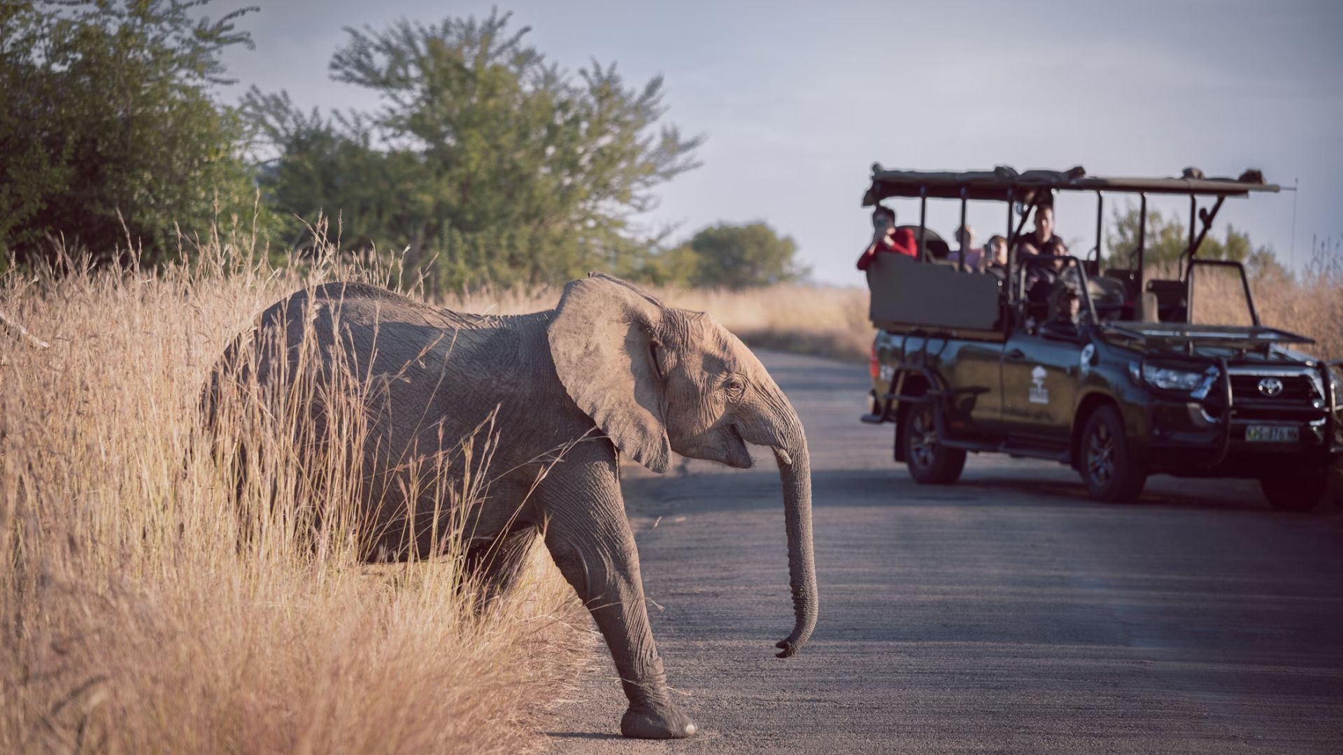 pilanesberg-national-park-1.jpg
