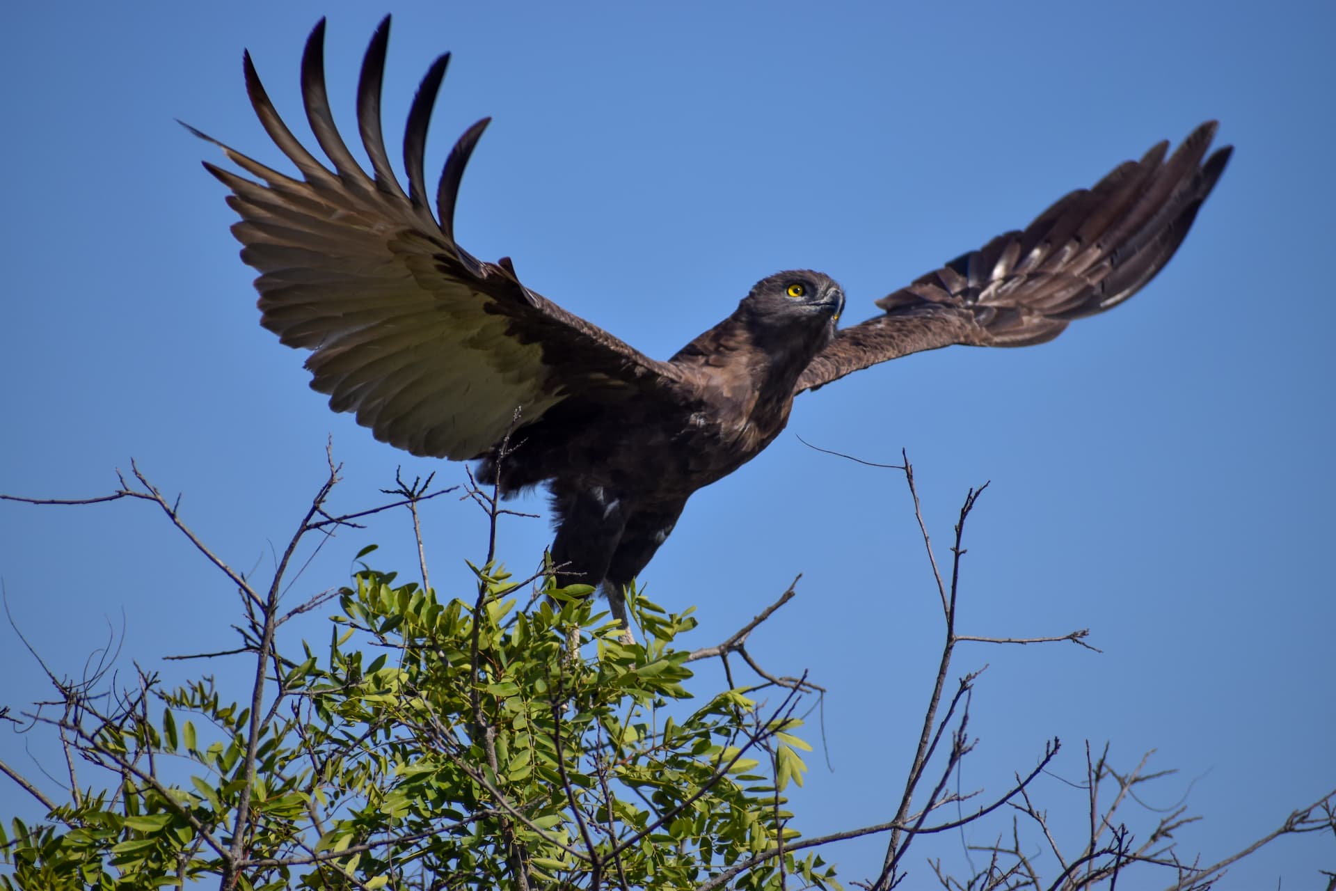 polokwane-bird-and-reptile-park-1.jpg