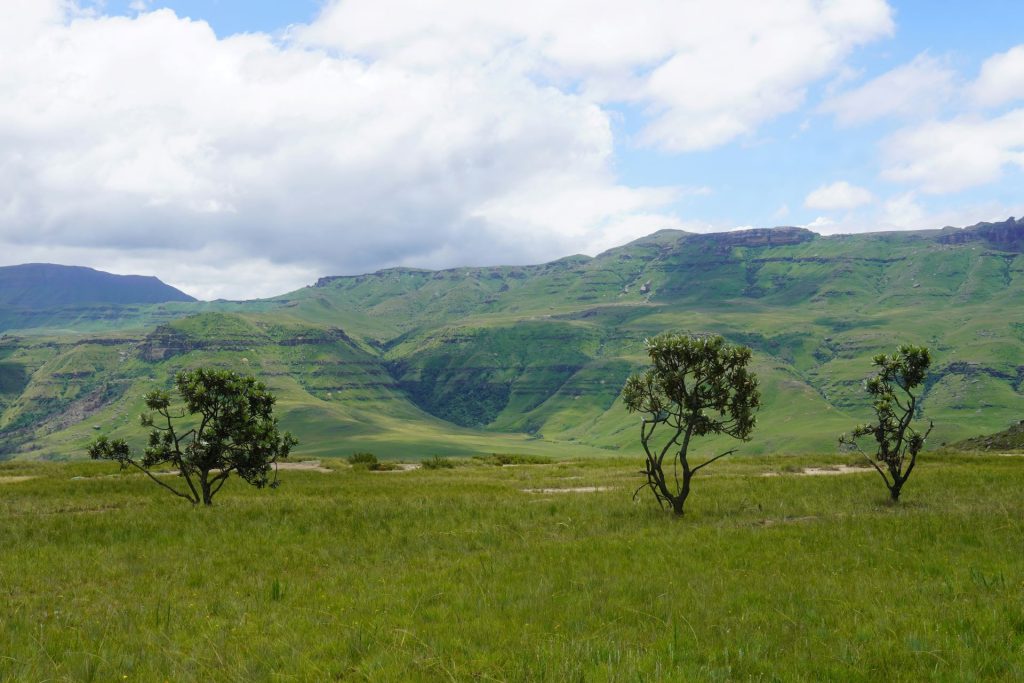 rediscovering-the-drakensberg-south-africas-natural-cathedral-1024x683.jpg
