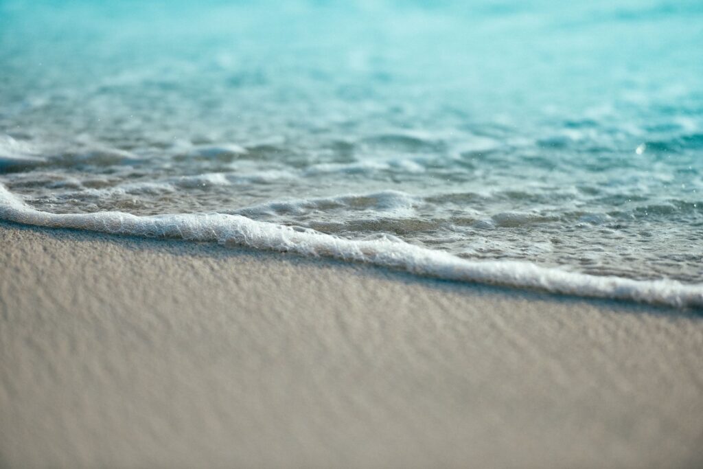 renosterveld-reserve-beach-1024x683.jpg