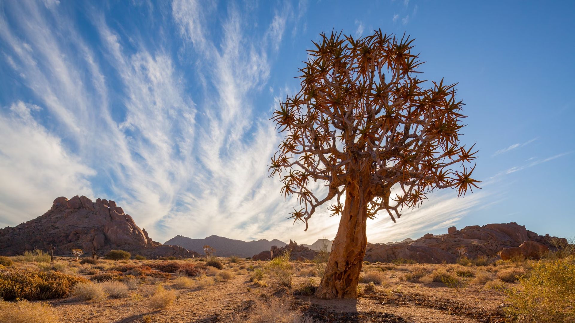 richtersveld-national-park-1.jpg