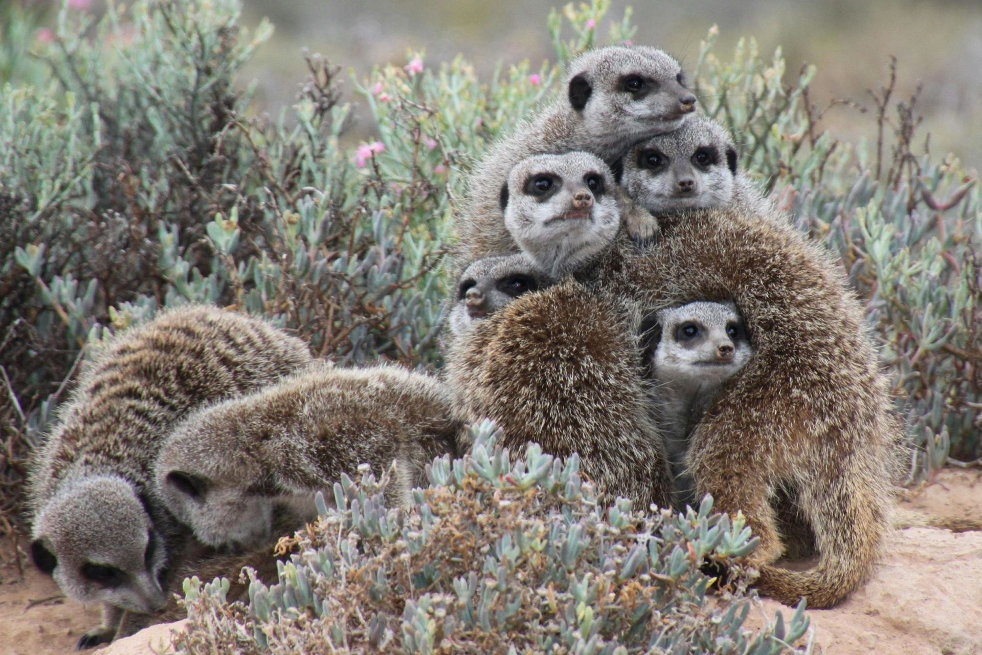 road-less-traveled-south-africas-hidden-gems-for-the-curious-explorer-2.jpg