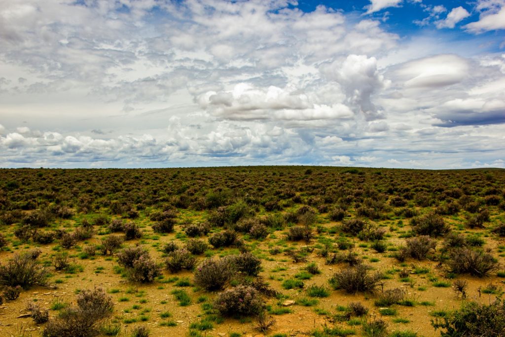 road-tripping-through-the-karoos-journey-through-south-africas-heartland-1-1024x683.jpg