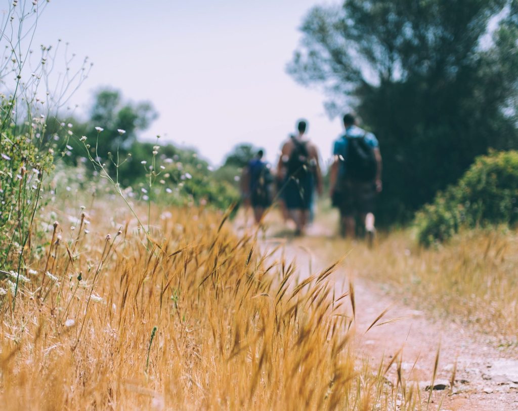 sable-ranch-hiking-trail-gauteng-1024x812.jpg
