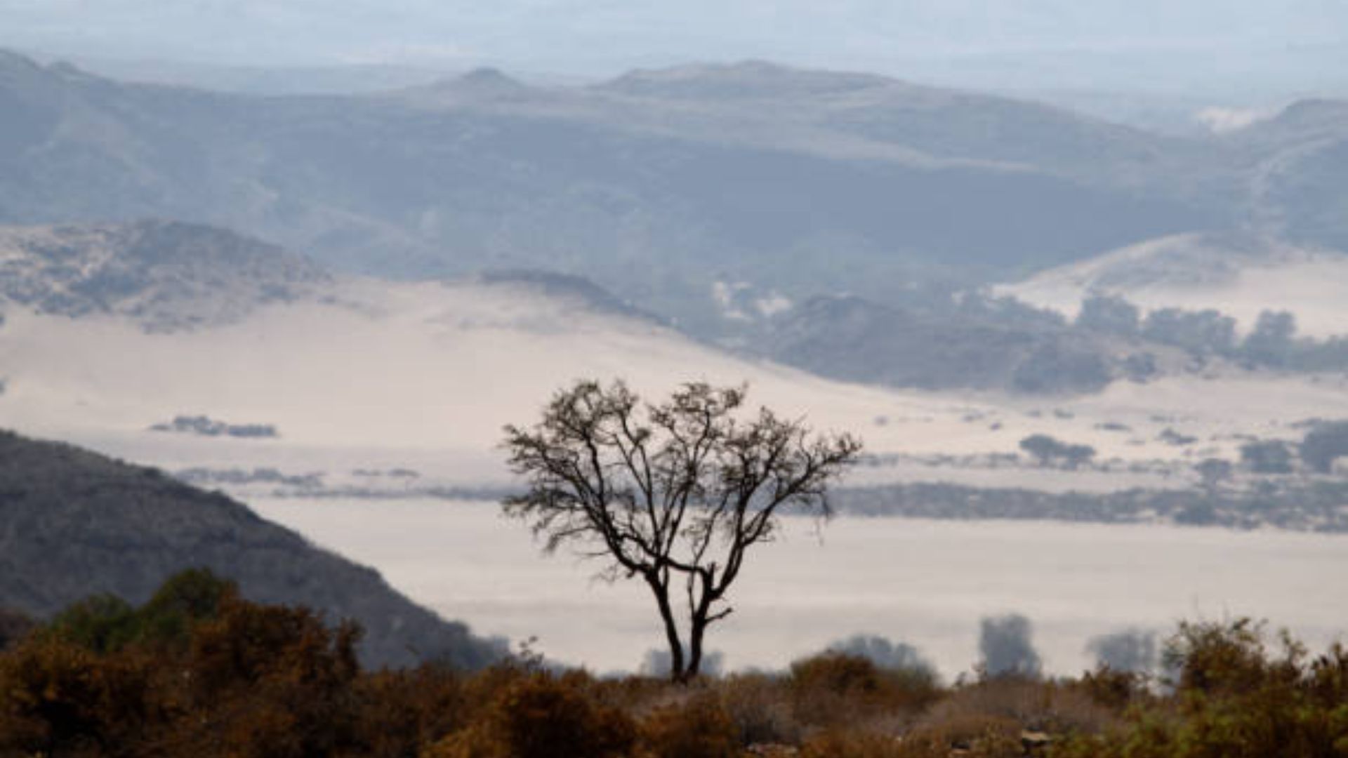 scenic-landscapes.jpg