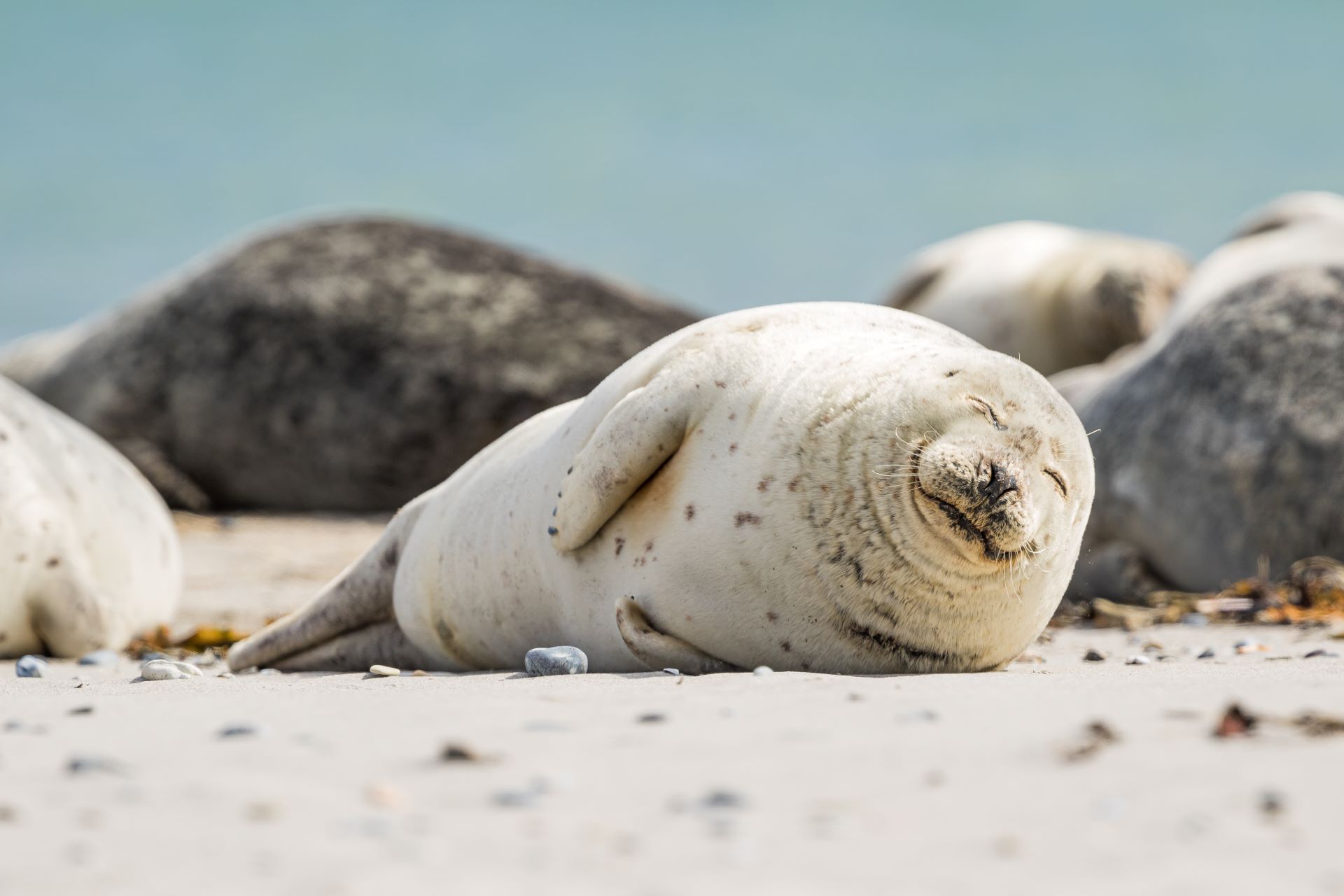 seal-island-cruises-at-mossel-bay.jpg