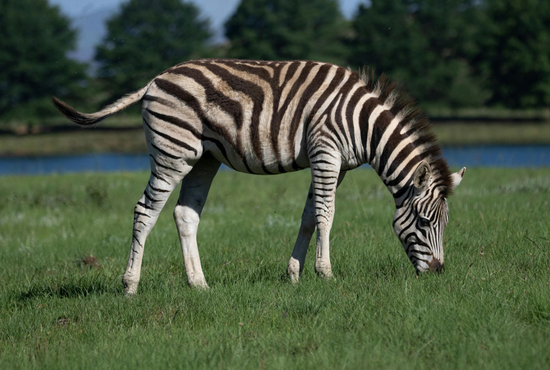 south-africa-off-the-map-unusual-attractions-worth-visiting.jpg