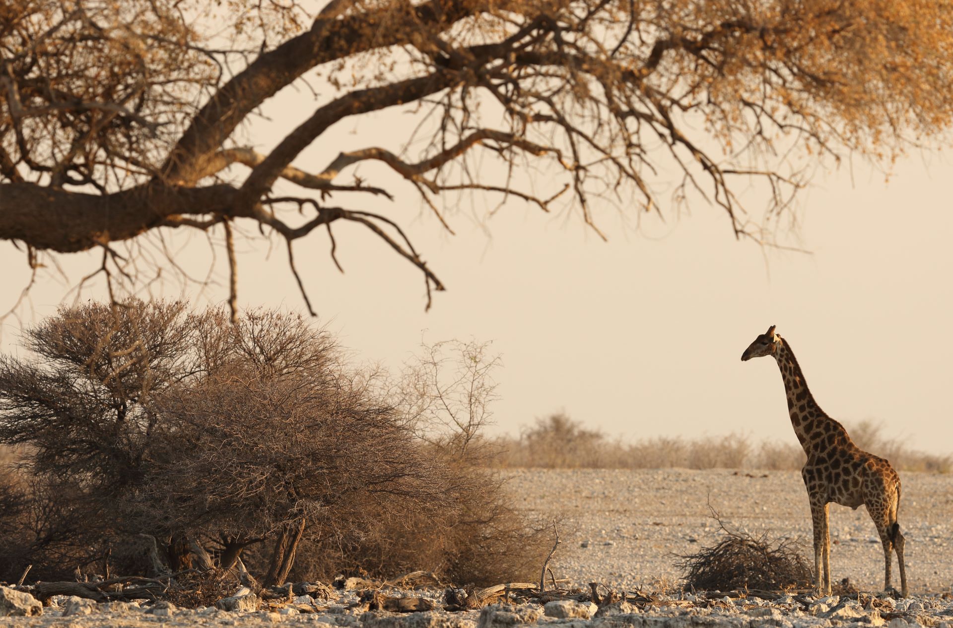 south-africa-through-the-seasons-when to-explore-best-1