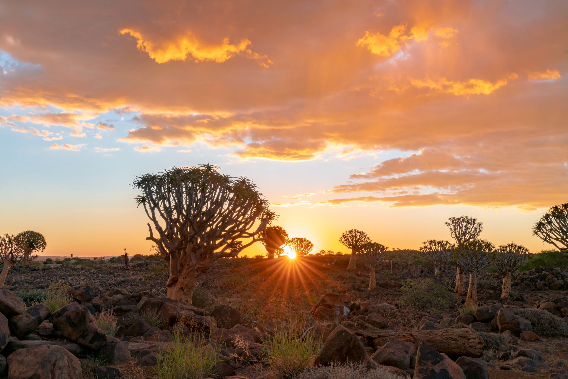 south-africa-through-the-seasons-when to-explore-best