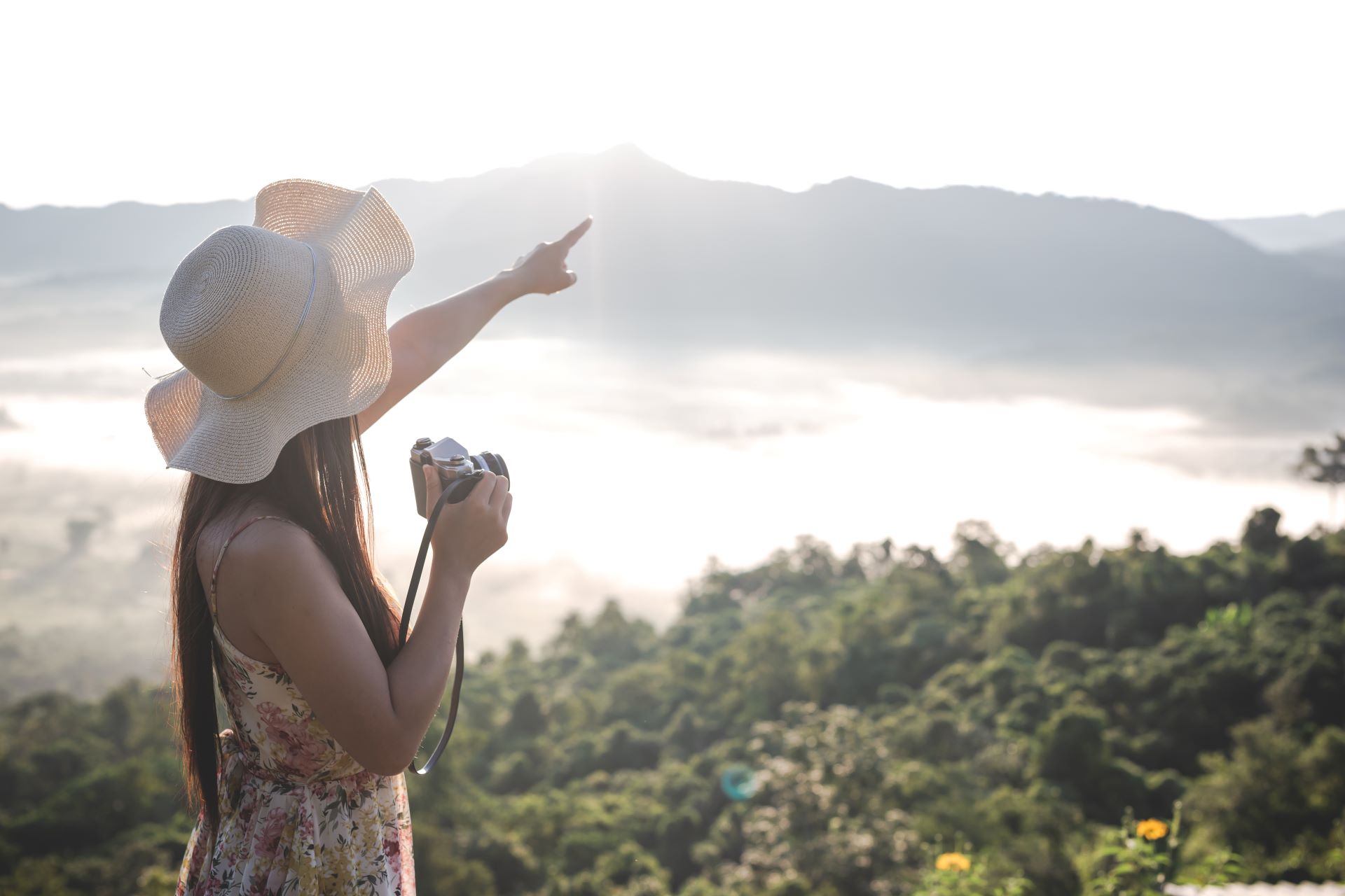 south-african-summer-tourism-peak-travel-and-planning