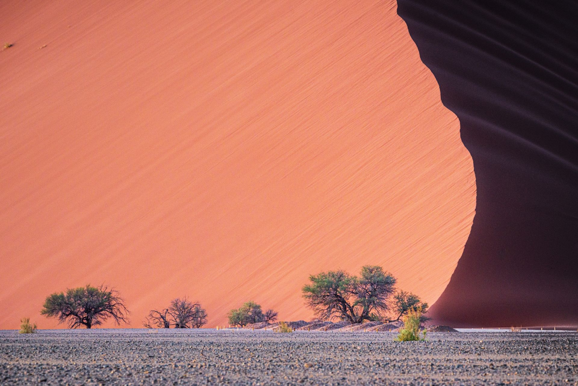 south-africas-desert-adventures-karoo-kalahari-wonders-1