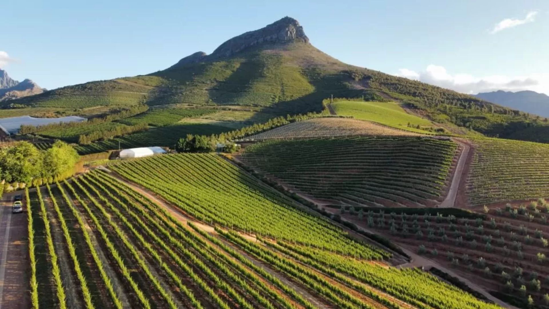 stellenbosch-1.jpg