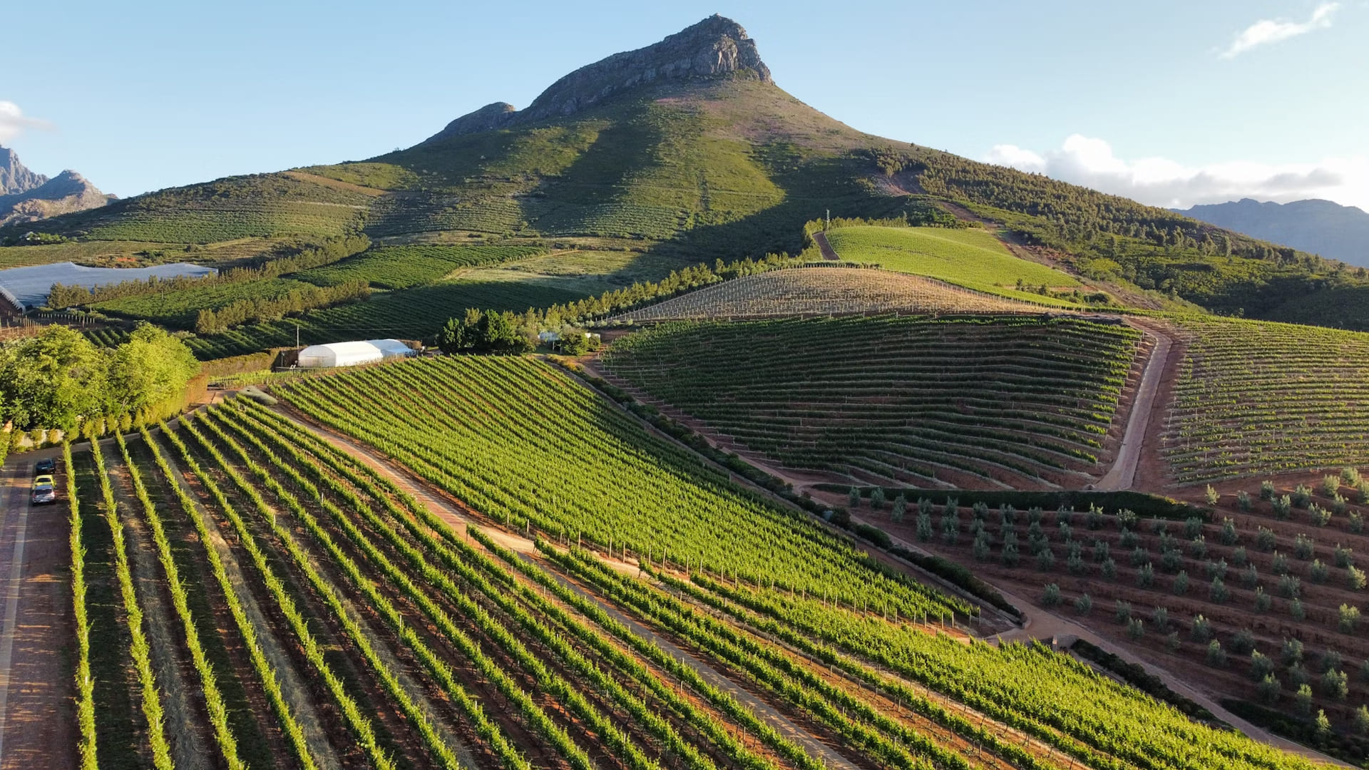 stellenbosch-the-heart-of-south-african-winemaking.jpg