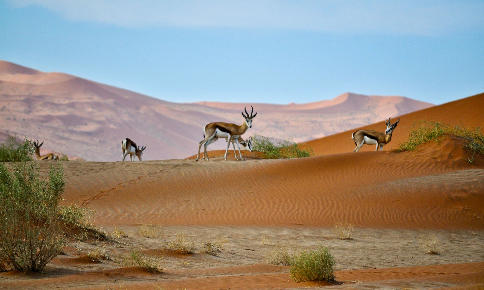 surf-sand-and-safari-unusual-combo-itineraries-for-the-adventurous-traveller-2.jpg