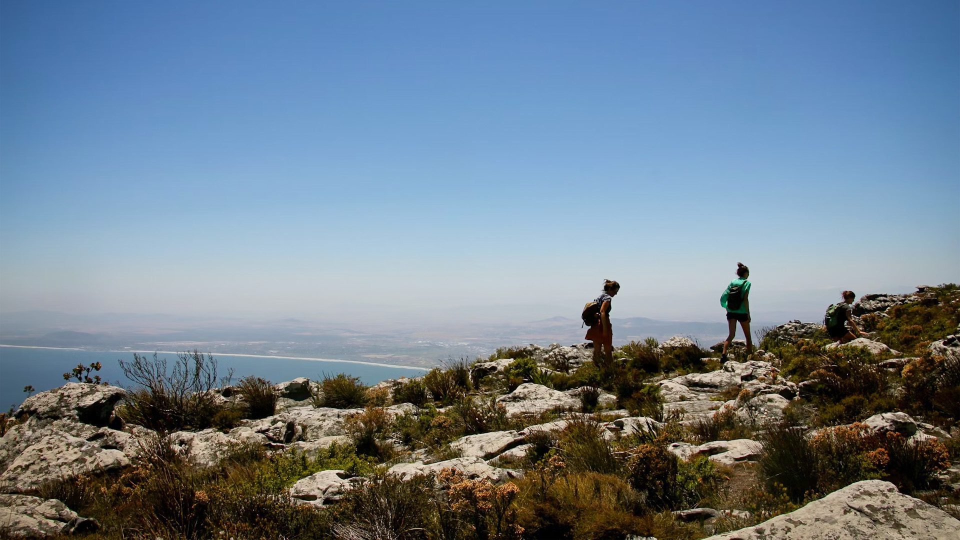 table-mountain-1.jpg