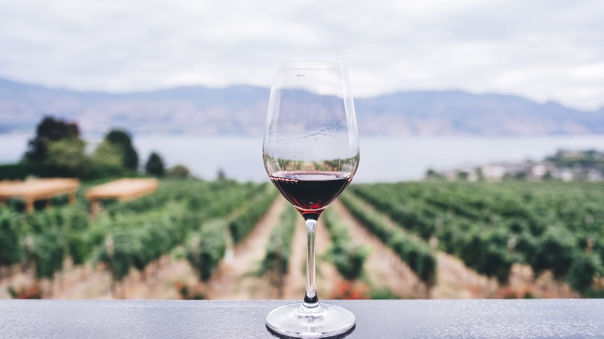 the-art-of-wine-tasting-a-sensory-journey.jpg