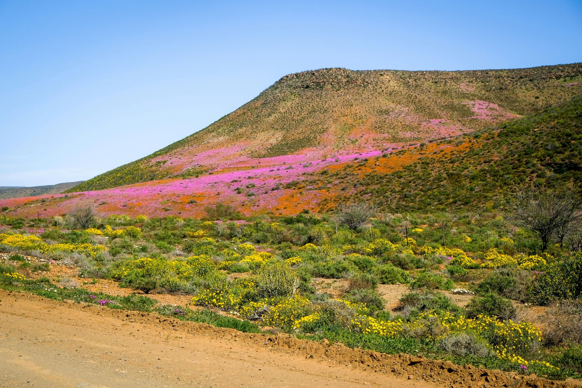 the-call-of-the-karoo-why-desert-tourism-is-the-next-big-thing.jpg