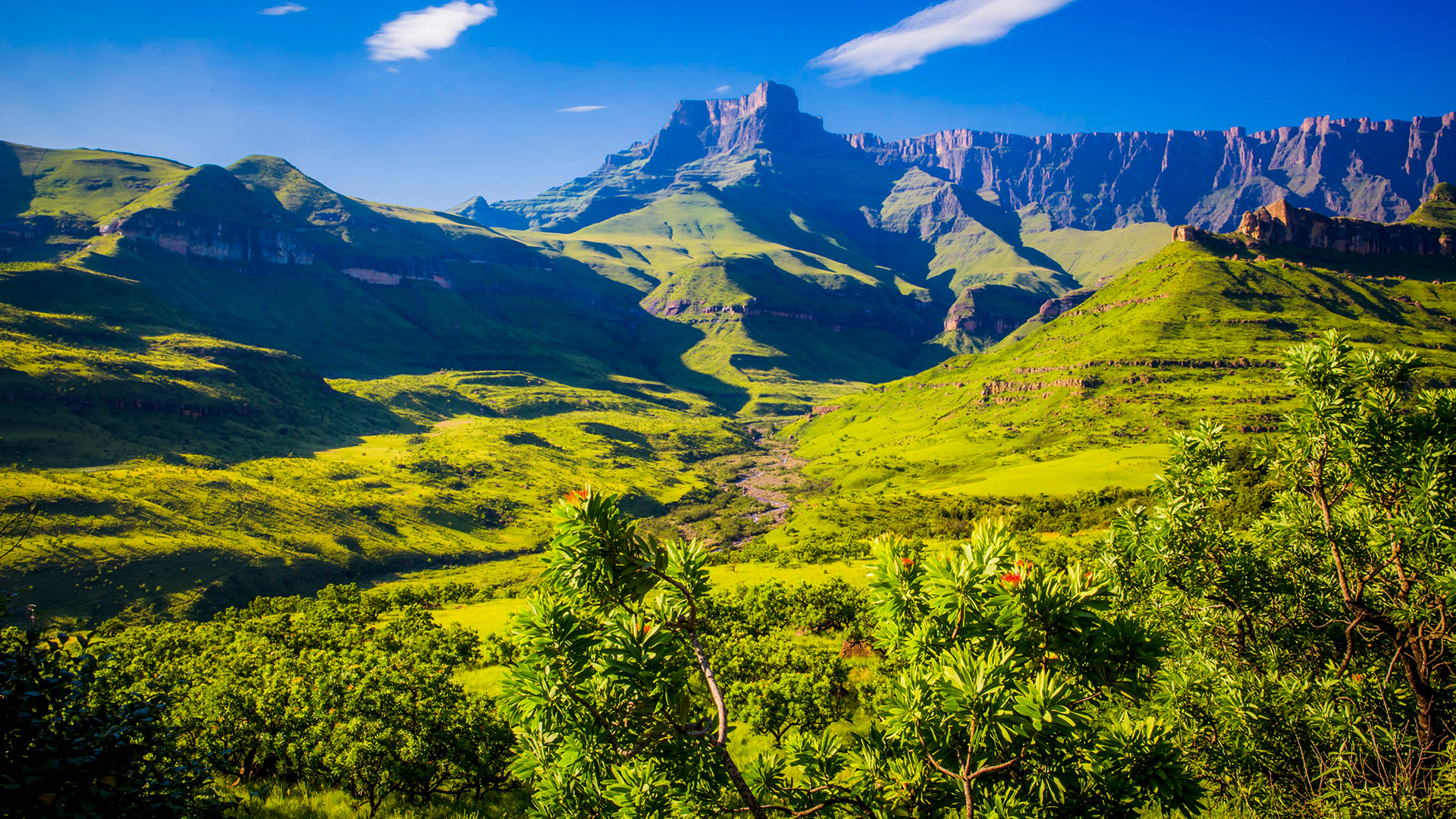 the-cultural-tapestry-of-kwazulu-natal.jpg
