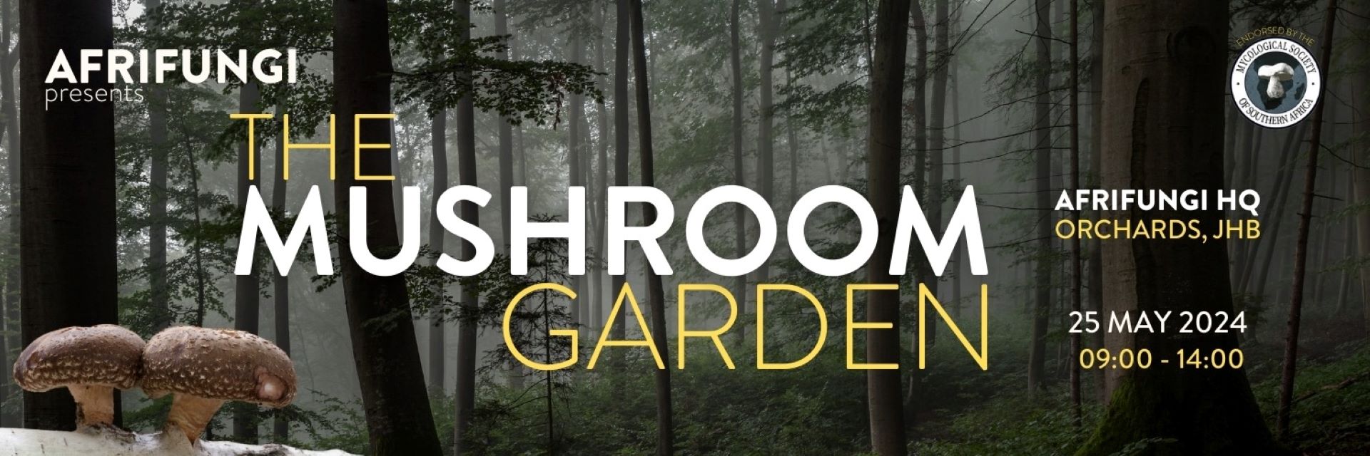 the-mushroom-garden.jpg