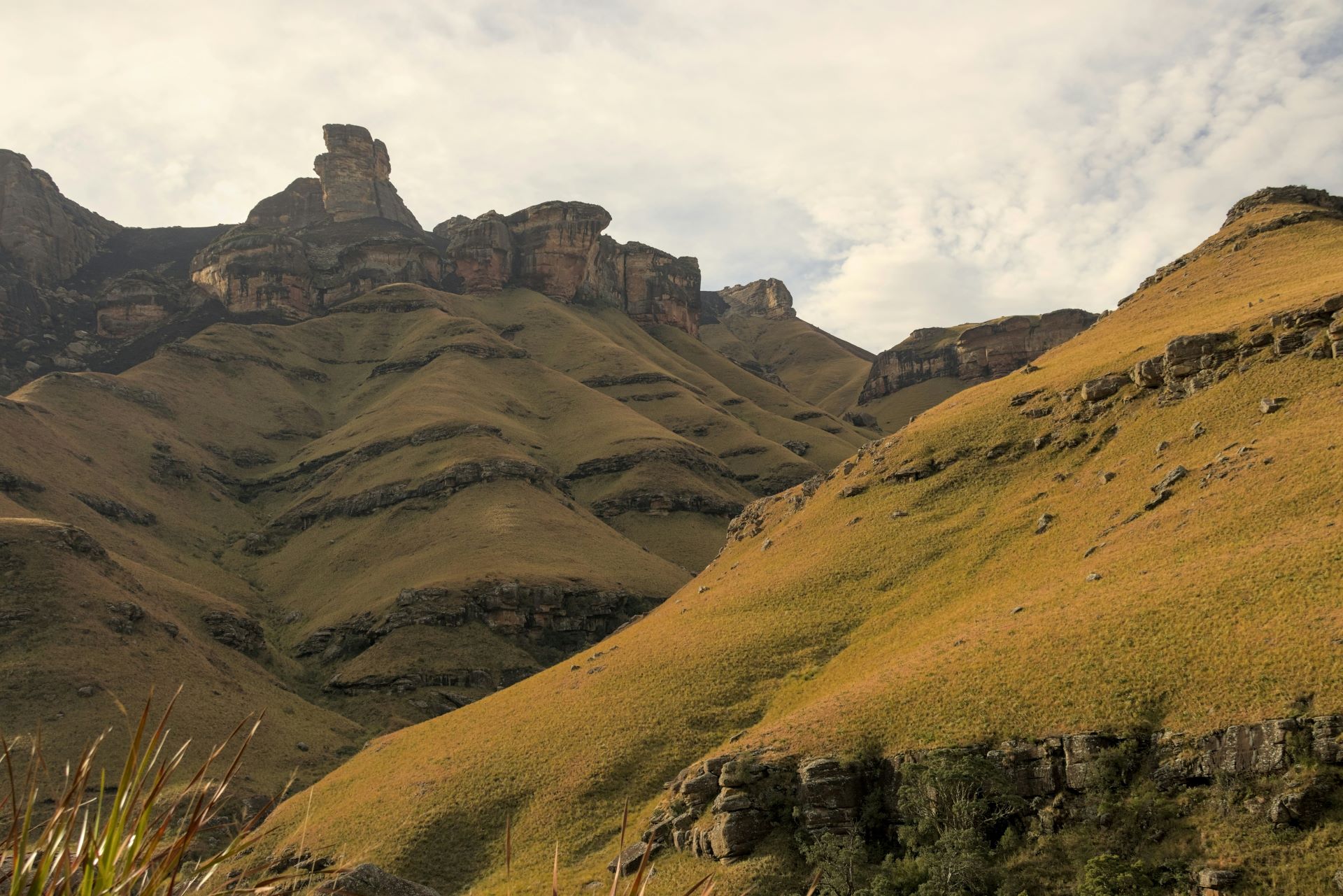 the-soul-of-south-africa-journeys-that-shape-perspective.jpg