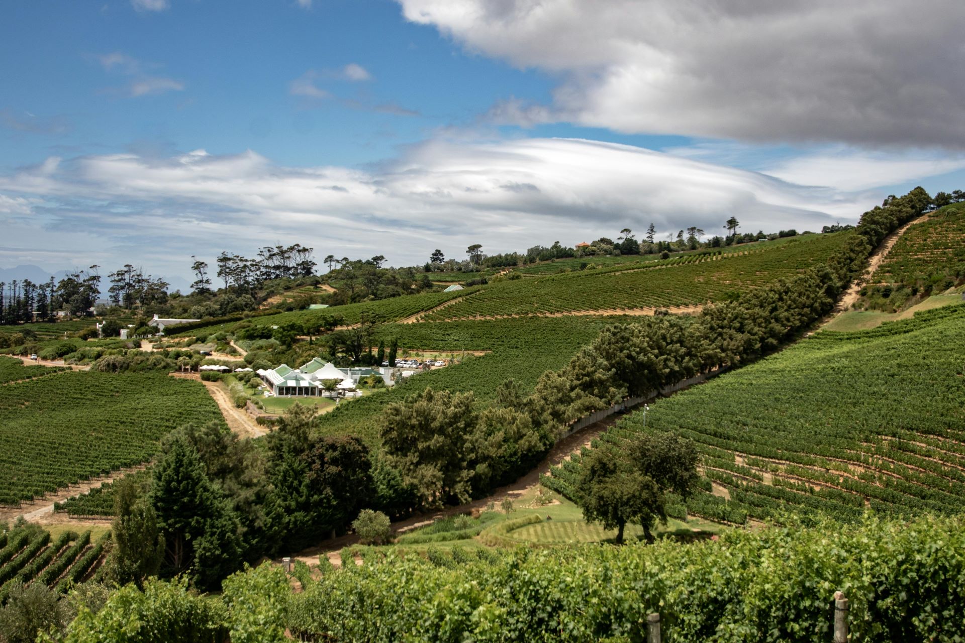the-winelands-uncorked-inside-south-africas-wine-heart-1