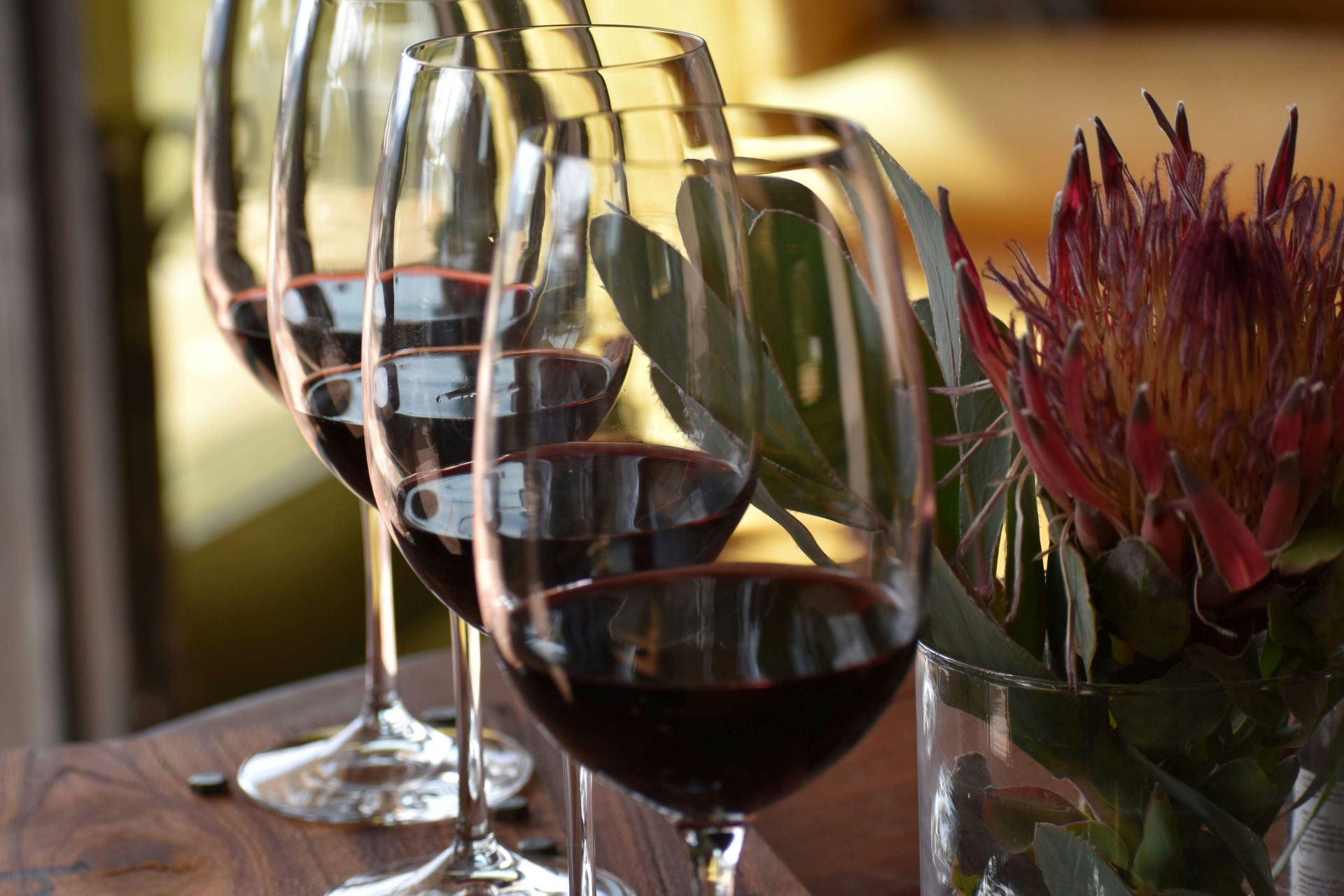 the winelands uncorked inside south africas wine heart