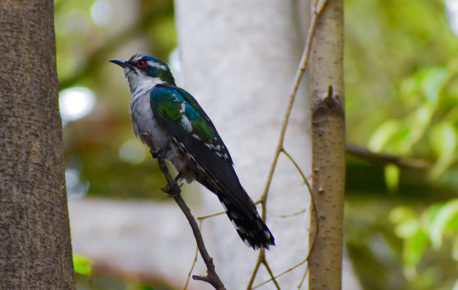 tourism-in-polokwane-nature-culture-and-discovery-1