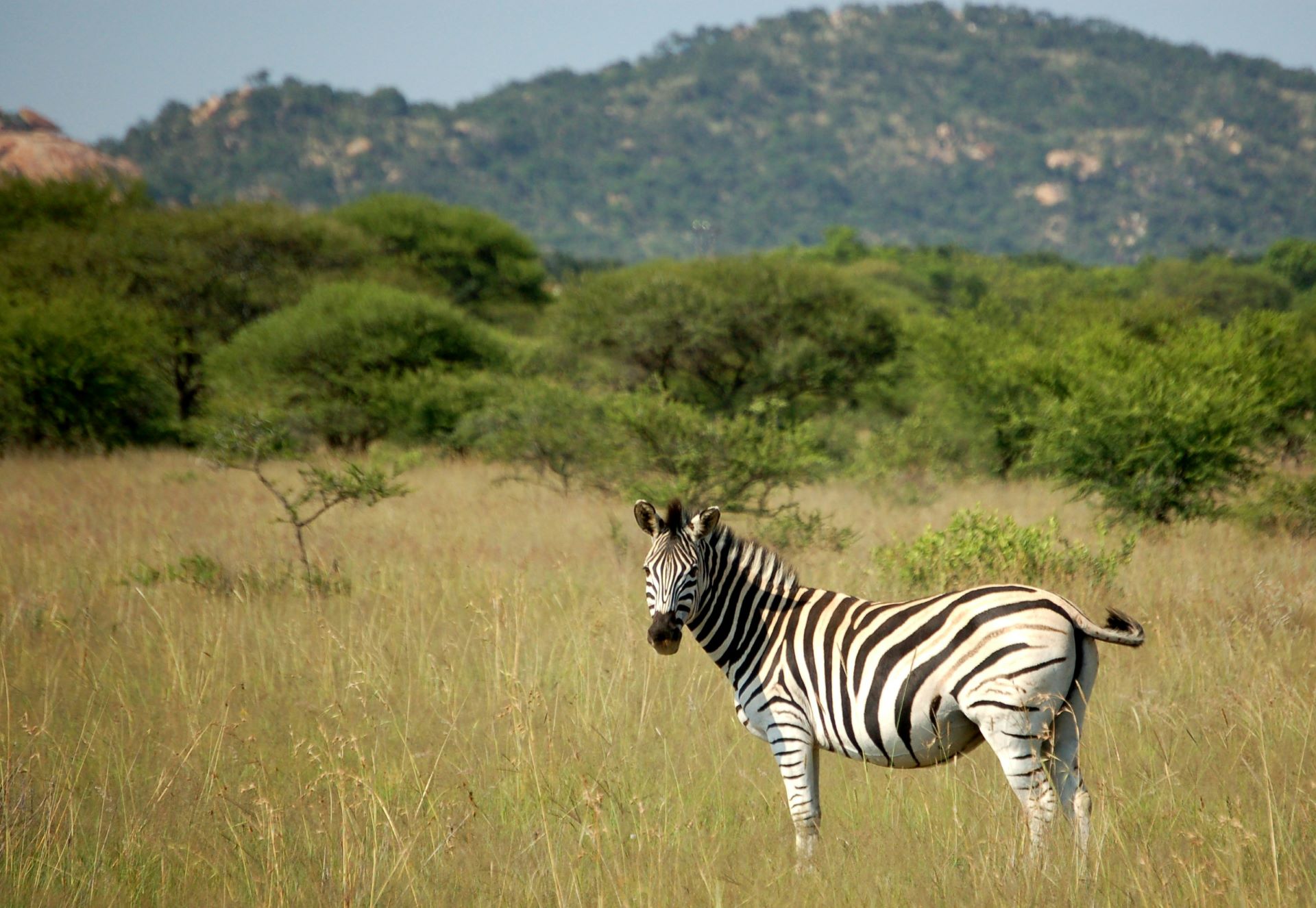 tourism-in-polokwane-nature-culture-and-discovery