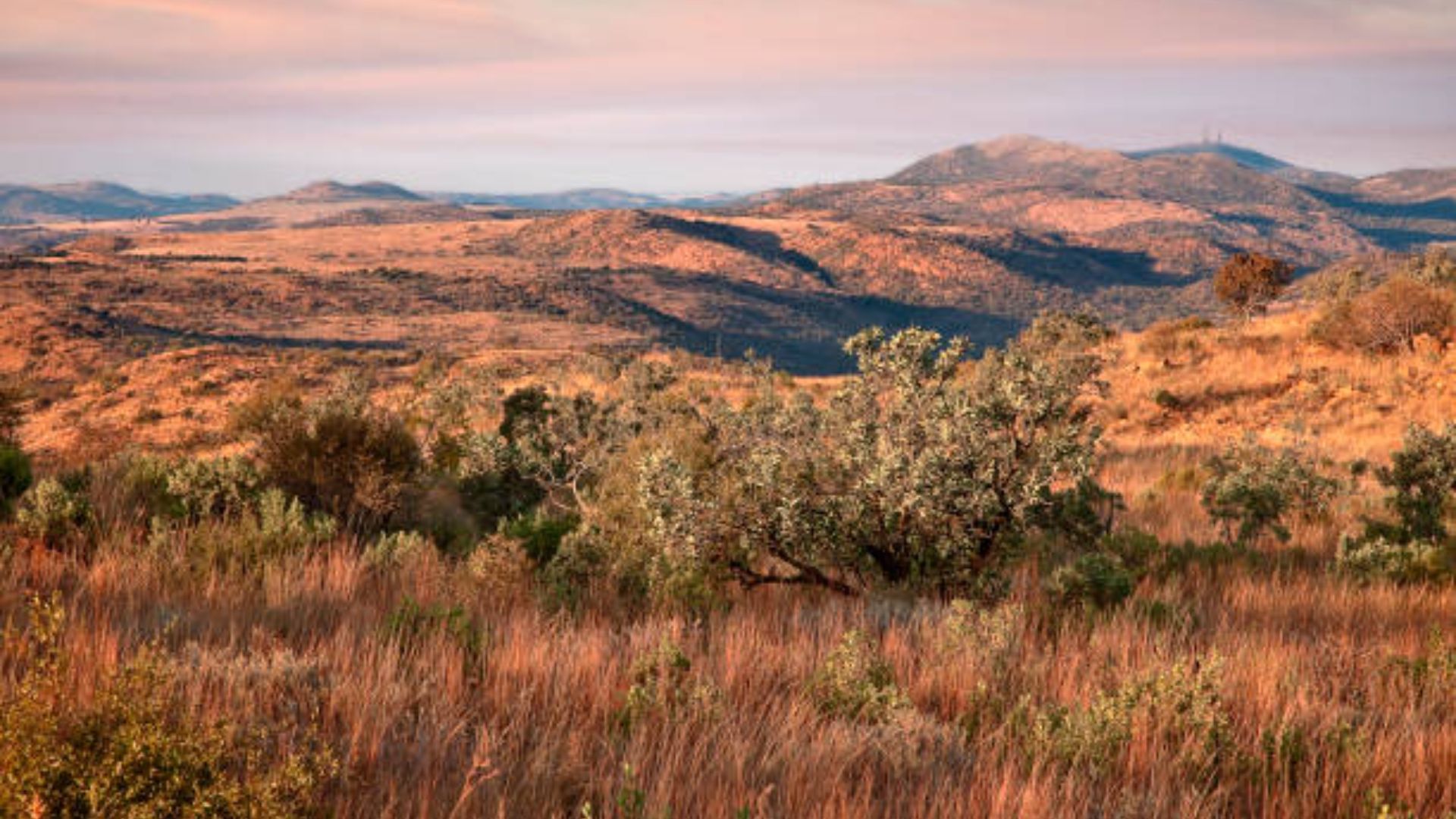 vredefort-dome-1.jpg