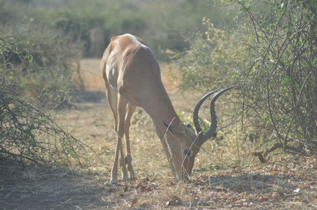 waterberg-kruin-hiking-trail-1024x681.jpg