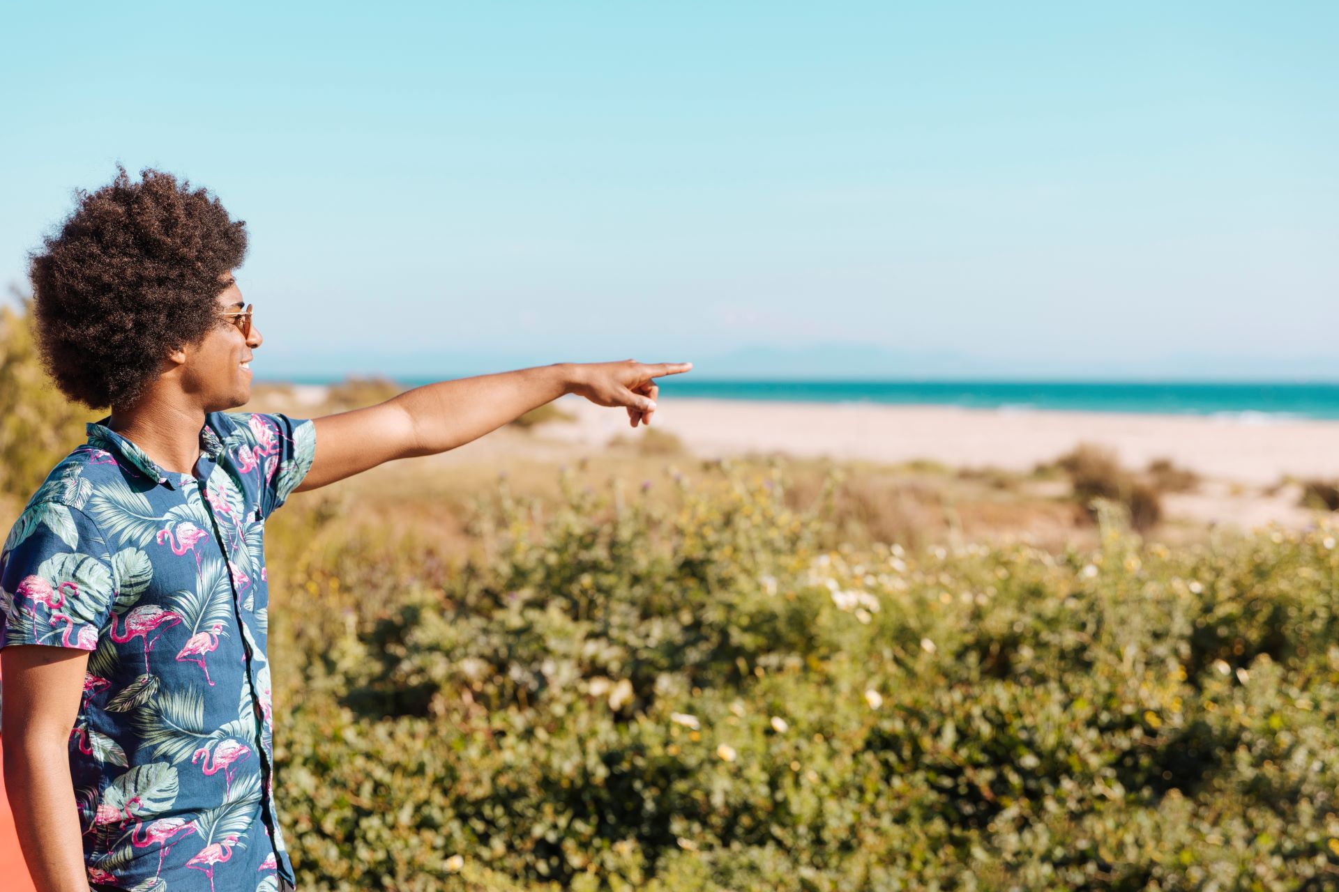 why-the-garden-route-remains-sas-top-road-trip