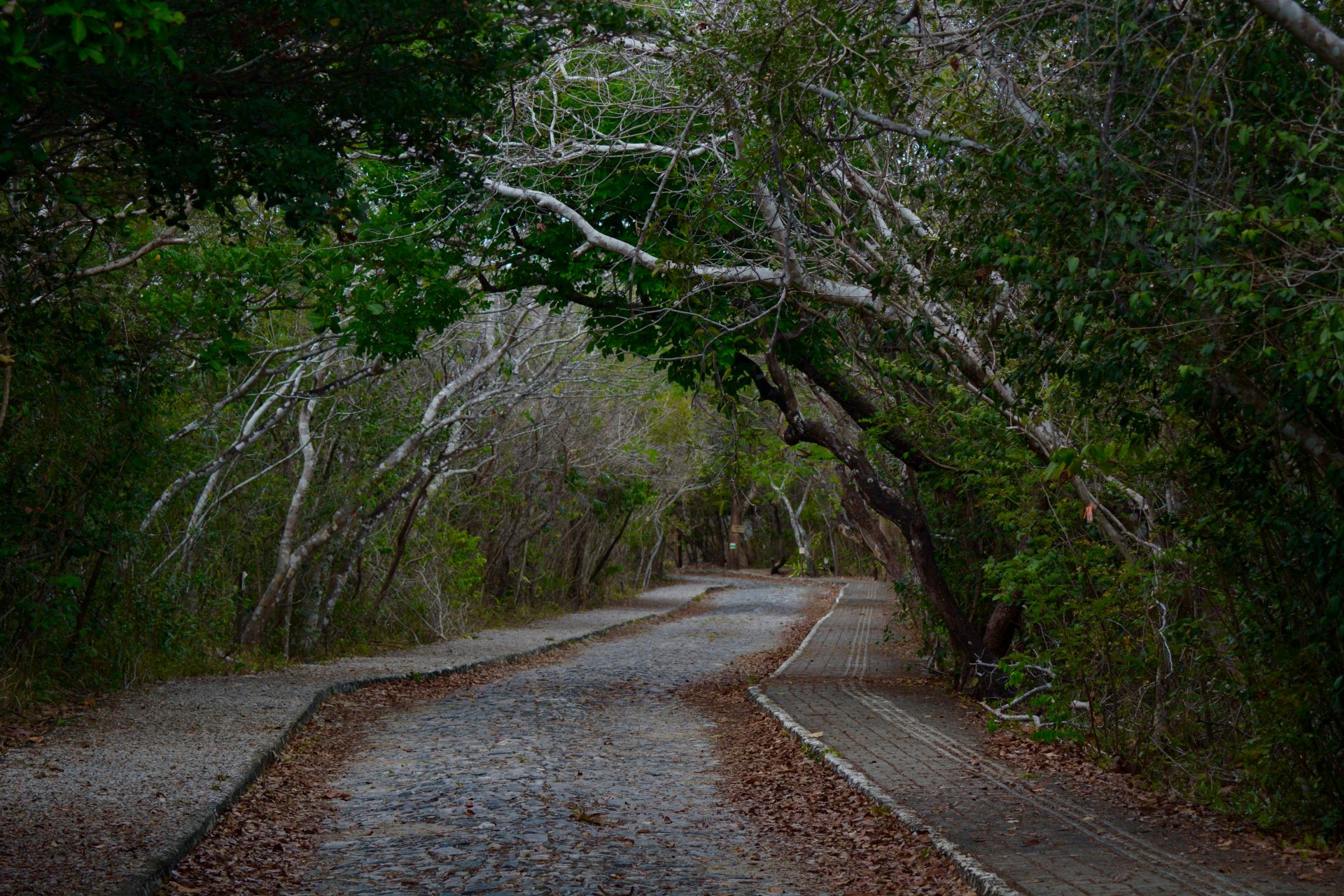 why-the-garden-route-remains-sas-top-road-trip-2